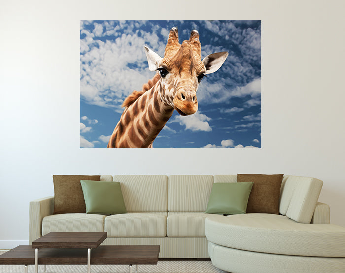 IMPRESSIVE WALL DECALS, REMOVABLE WALL STICKERS, WALL DECOR