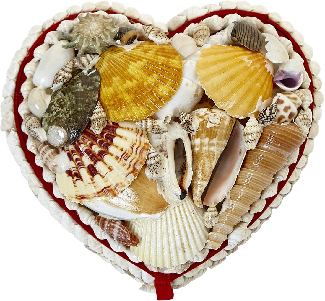 Heart Shape Jewelry Seashells Box 5x5"