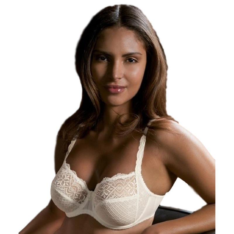 Conturelle Belle De Jour Sheer Lace Plus Size Bra